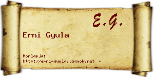 Erni Gyula névjegykártya